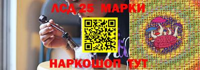 гидропоника Коммунар