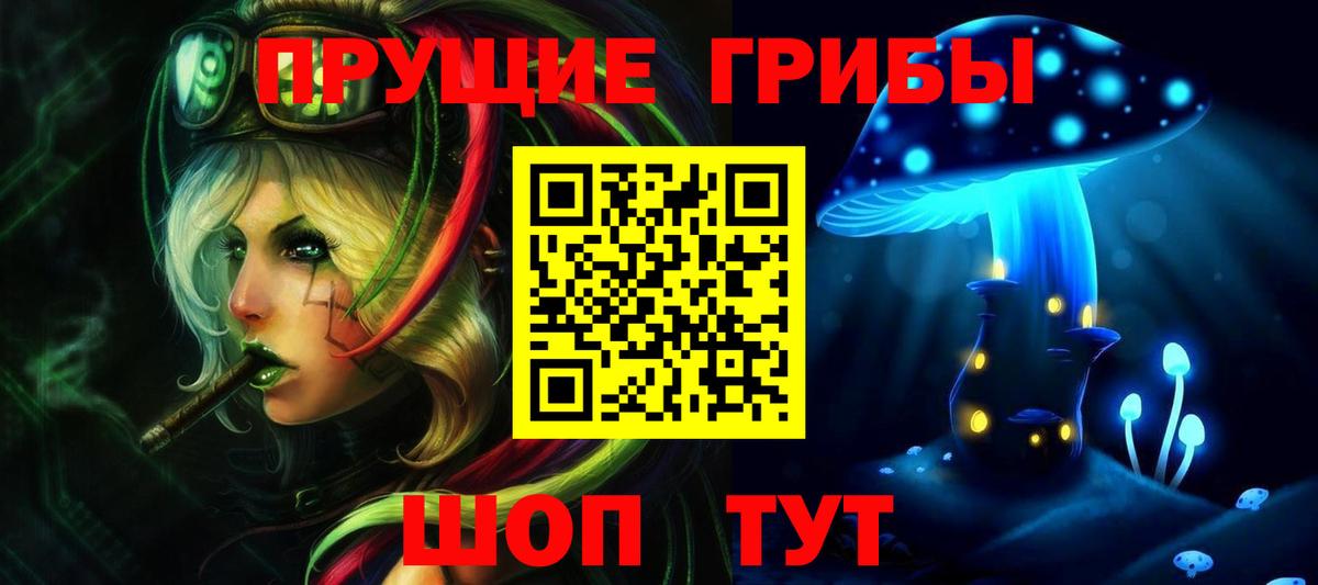 Чистополь  купить  сайты  Вход с VPN  Галлюциногенные грибы прущие грибы 