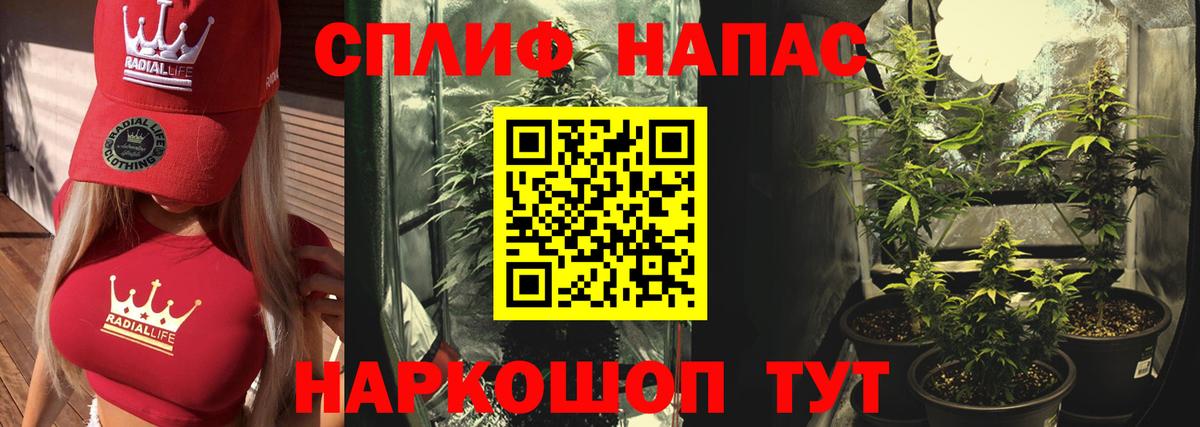 Чистополь  Конопля марихуана  Каннабис тримм  Вход с VPN  Конопля ГИДРОПОН  Марихуана сатива 